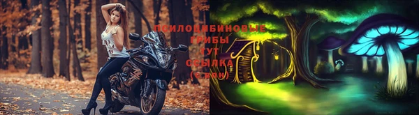 бошки Ачинск