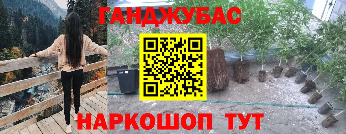 Канабис гибрид  Канабис план  Бошки марихуана марихуана  Вход с VPN  Екатеринбург 